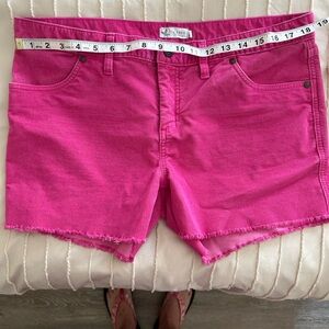 Carve Designs High Waist Pink Fuschia Corduroy Shorts